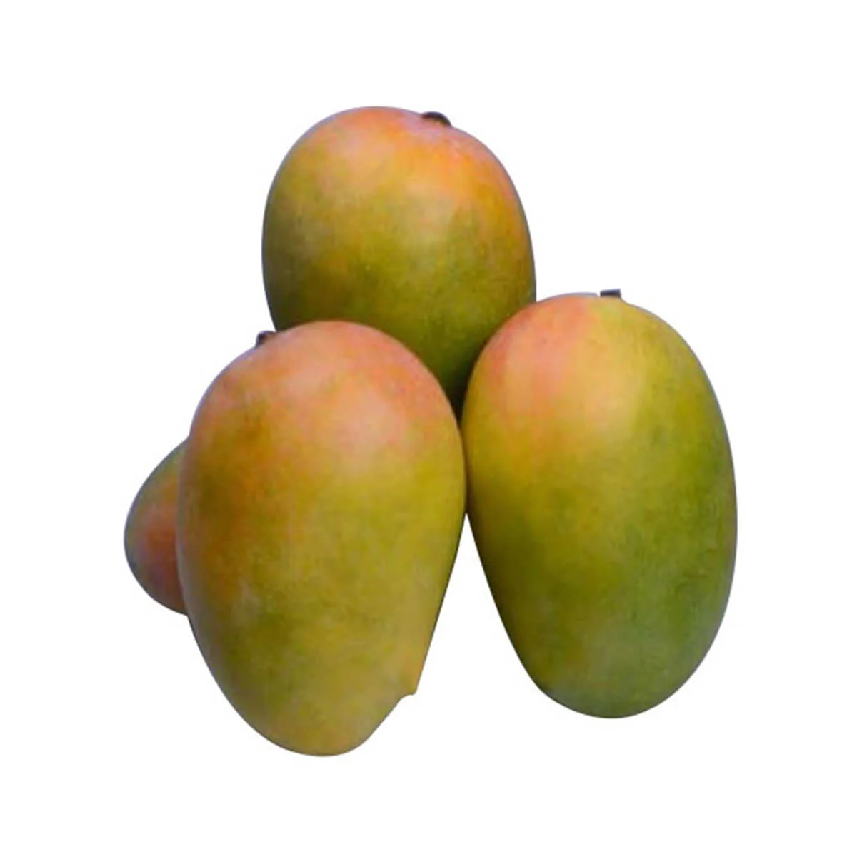 Kesar Mango (केसर आम)